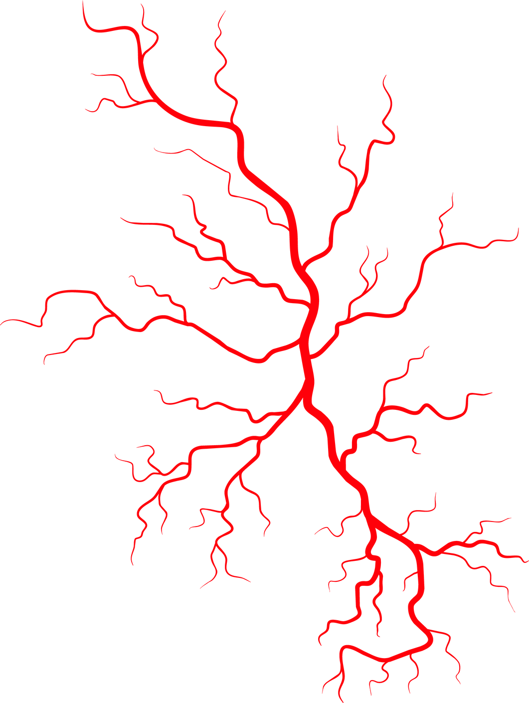 Red vein in human blood vessel, arteries design